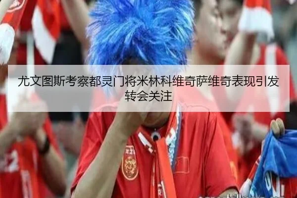 尤文图斯考察都灵门将米林科维奇萨维奇表现引发转会关注